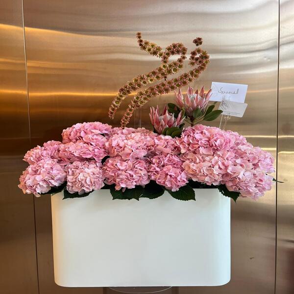 e4c79e93_Resized picture1.jpg